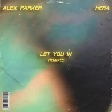 Let You In (Remixes)