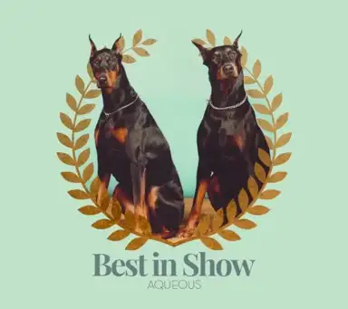 Best in Show