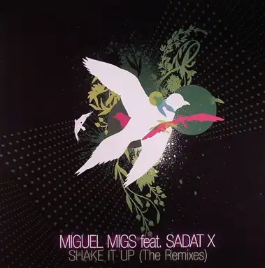 Shake It Up (The Remixes)