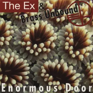 Enormous Door