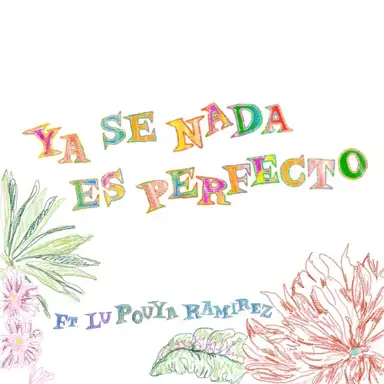 Ya se nada es perfecto