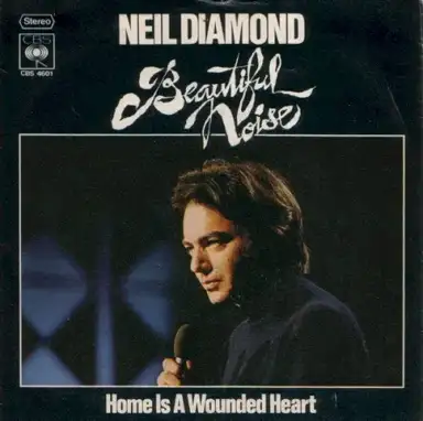Beautiful Noise