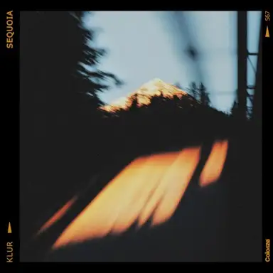 Sequoia