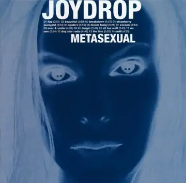 Metasexual