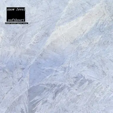 Snow Level