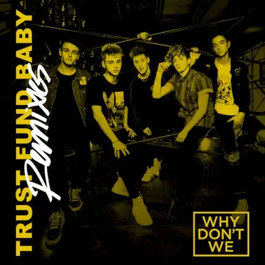 Trust Fund Baby (remixes)