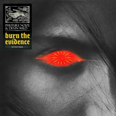 Burn The Evidence