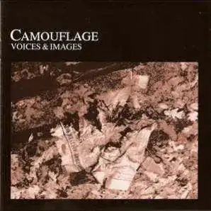 Voices & Images