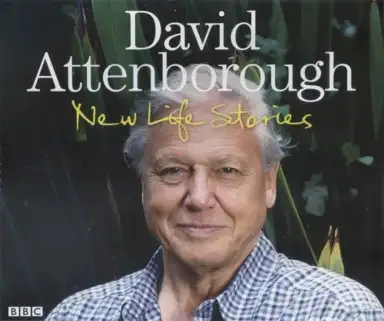 New Life Stories