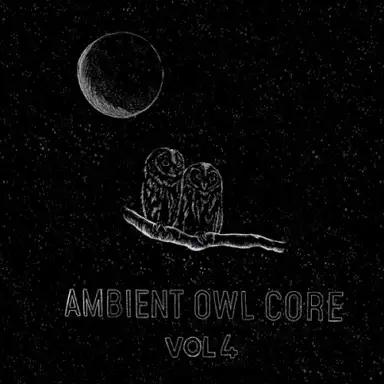 Ambient Owl Core vol. 4