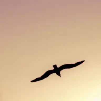Under Quiet Skies