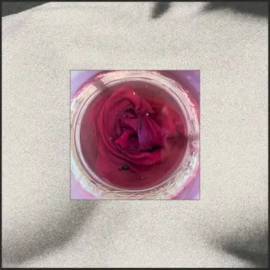 Undo (Your Body)