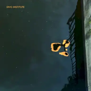 Divo Institute