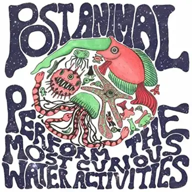 Perform the Most Curious Water Activities