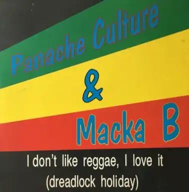 I Don't Like Reggae, I Love It