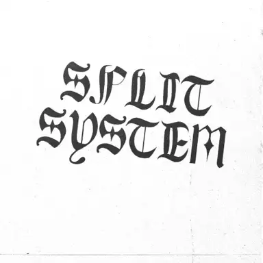 Split System
