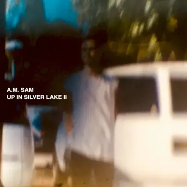 Up In Silver Lake II