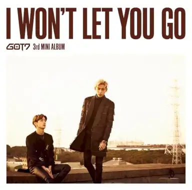I WON'T LET YOU GO