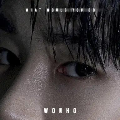 What Would You Do