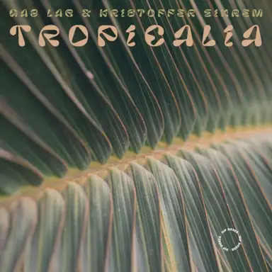 Tropicalia