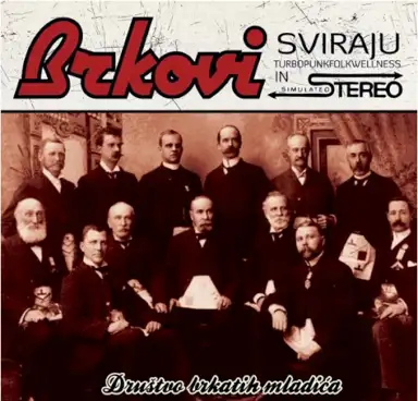Društvo brkatih mladića