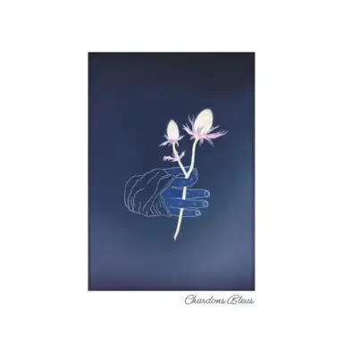 CHARDONS BLEUS