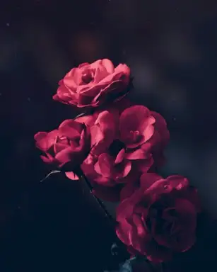 STRANGE TIMES (DEMO)