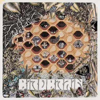 Birdbrain