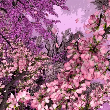 Blossoming