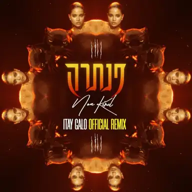 פנתרה (Itay Galo Official Remix)