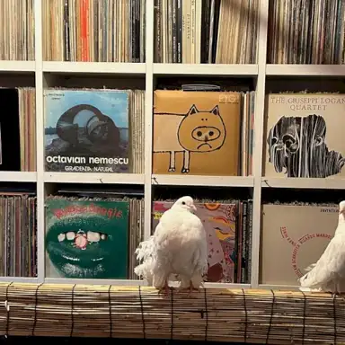 2025-02-20: NTS Radio