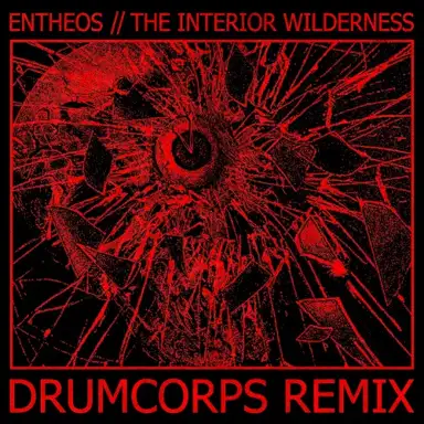 The Interior Wilderness (Drumcorps remix)