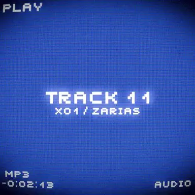 TRACK 11