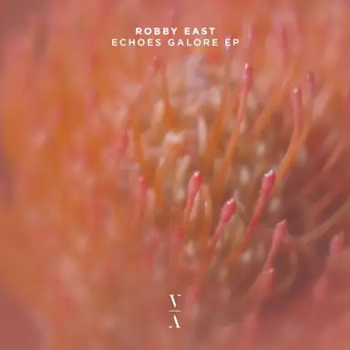 Echoes Galore EP