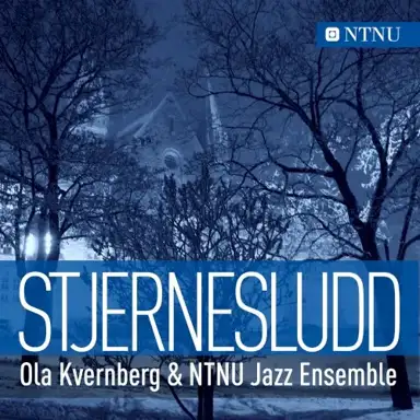 Stjernesludd