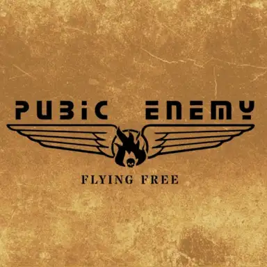 Flying Free