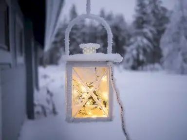 Wistful Winter