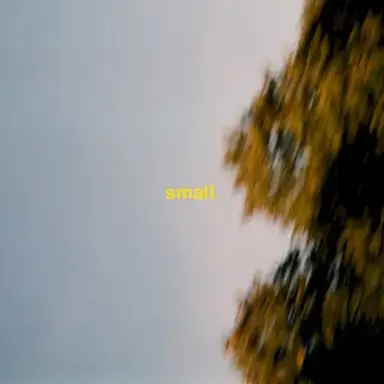 Small