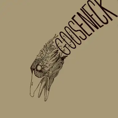 Goose Neck