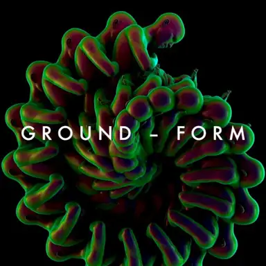 Form