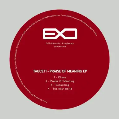 Praise of Meaning EP