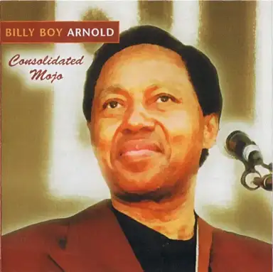 Consolidated Mojo