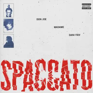 Spaccato