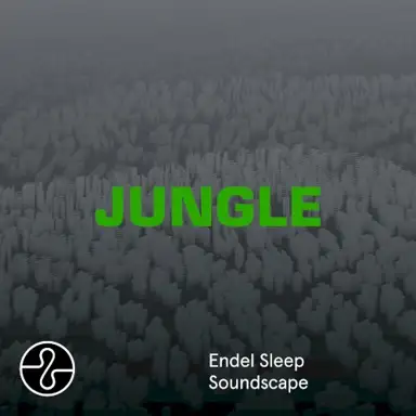 Jungle (Sleep Soundscape)