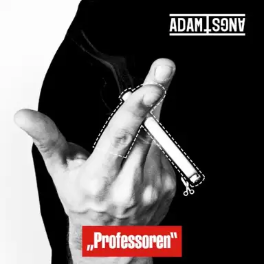 Professoren