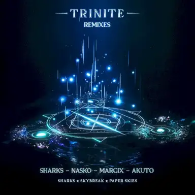 Trinite (remixes)