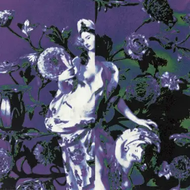 Black Violet