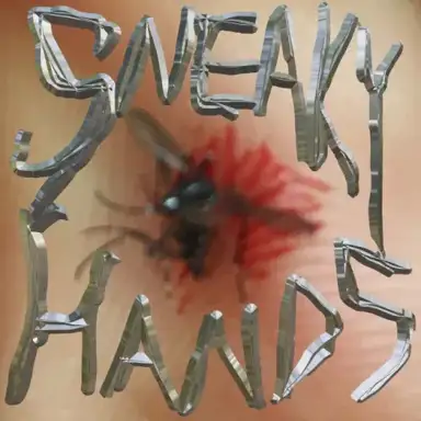 Sneaky Hands