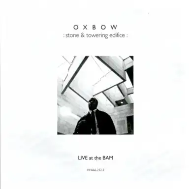 Stone & Towering Edifice: Live at the BAM