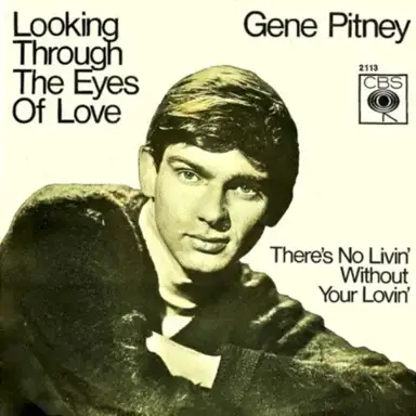 Looking Through the Eyes of Love